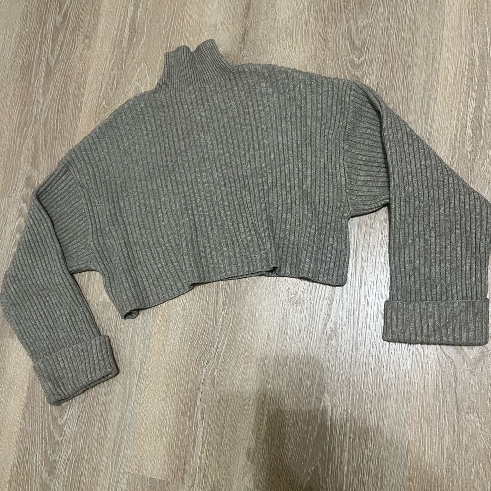 Zara Turtle Neck Cropped Sweater